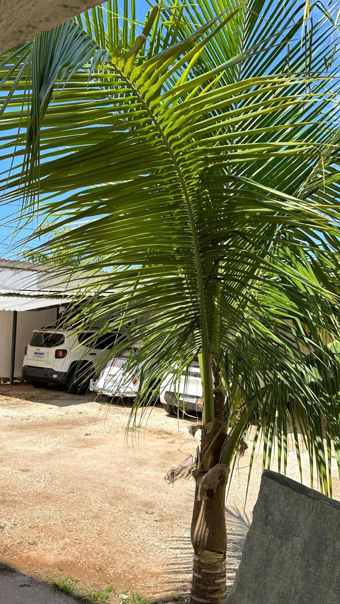 Pousada Caminho Das Cachoeiras Pirenópolis Buitenkant foto